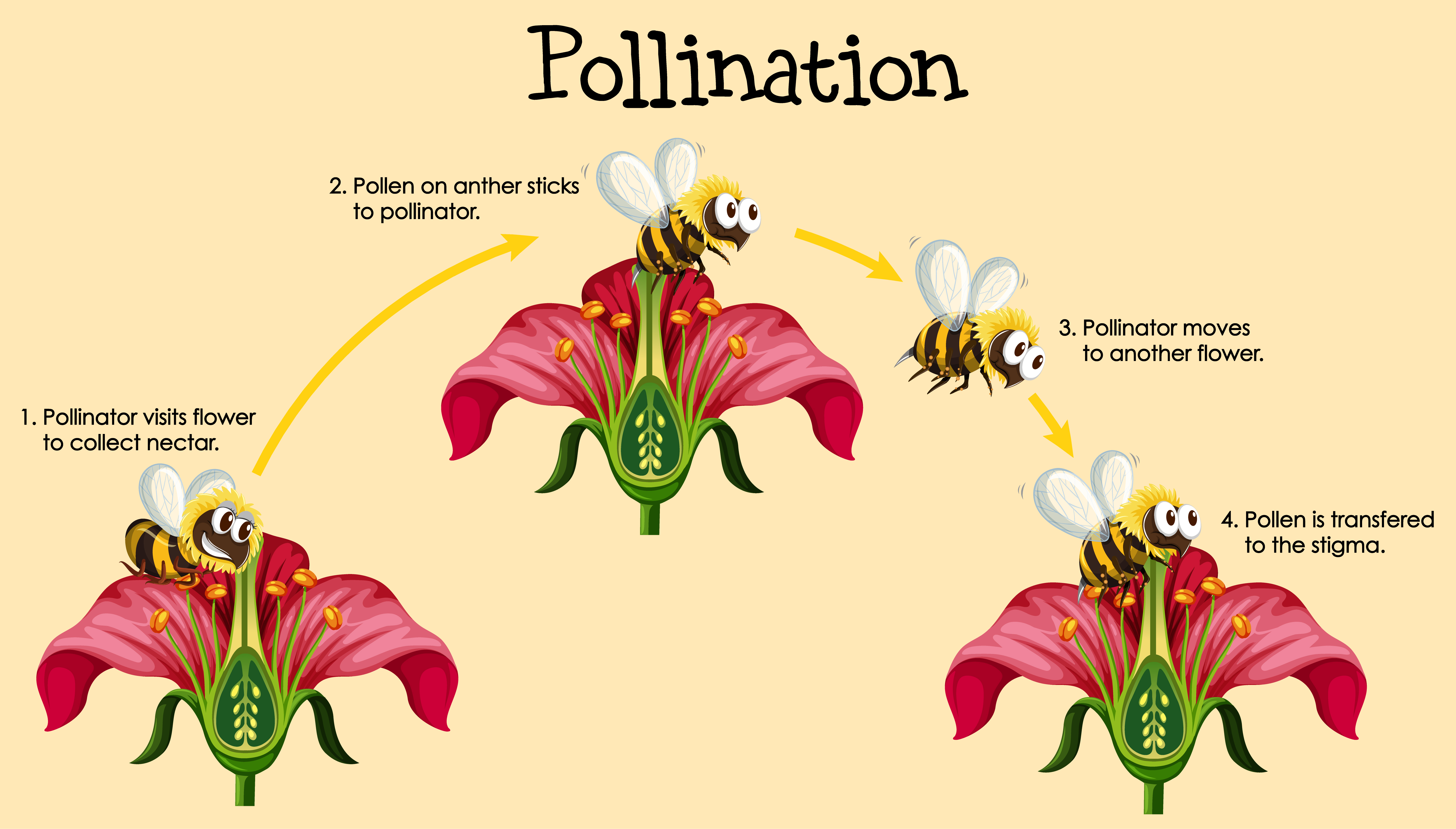 THE POLLINATION PICKLE OF INDOOR FARMING – Shubham Khoje